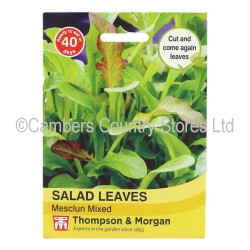 Thompson & Morgan Salad Leaves Mesclun Mixed